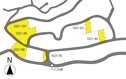 【間取り】 | 伊豆市大沢　地形図