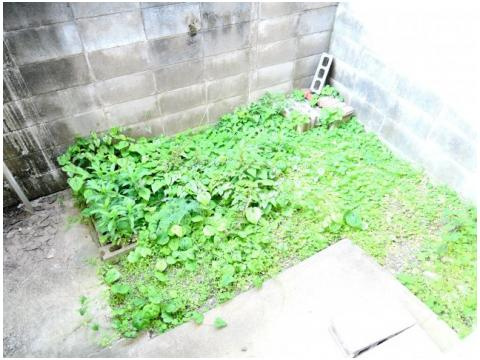 中谷借家2戸の庭