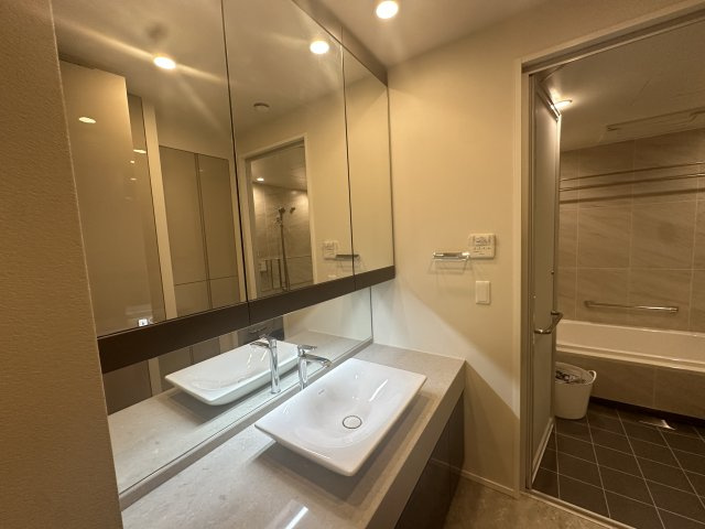 プレミストタワー靱本町の独立洗面台