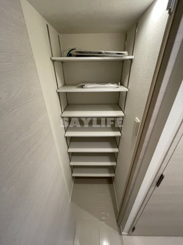 サムティ大阪GRAND EASTの収納
