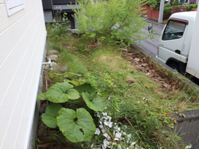 【庭】 | 常盤1-1戸建