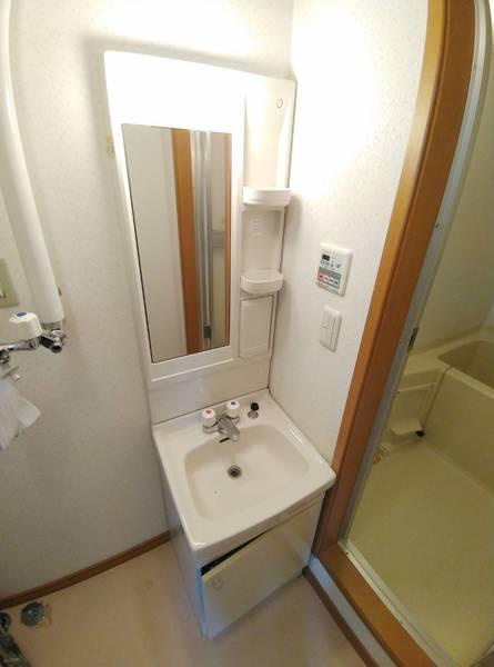 エステートinアースの洗面所