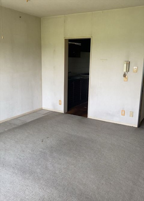 【居間・リビング】 | 座間入谷ハイツ７号棟 | 直線タイプはLとDKを一直線に並べた形で対面キッチンのタイプです。一般的なのでよく見かけるかもしれません。直線タイプに似た直接アイランドタイプは、キッチンとダイニングの間に壁がない分広く感じられます。