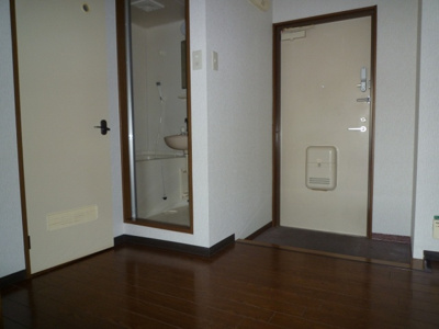  | プルーリオン98 | 同型タイプ