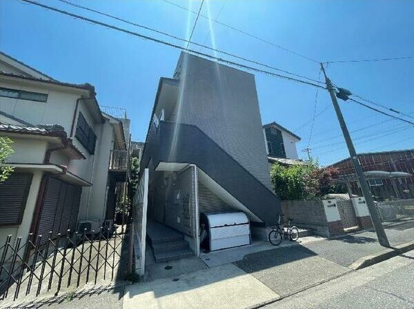 Caminoalta黄金(カミノアルタコガネ)