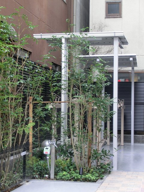 GEO ENT御徒町の設備|駐輪場