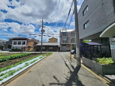 エレガンス21の周辺|前面道路