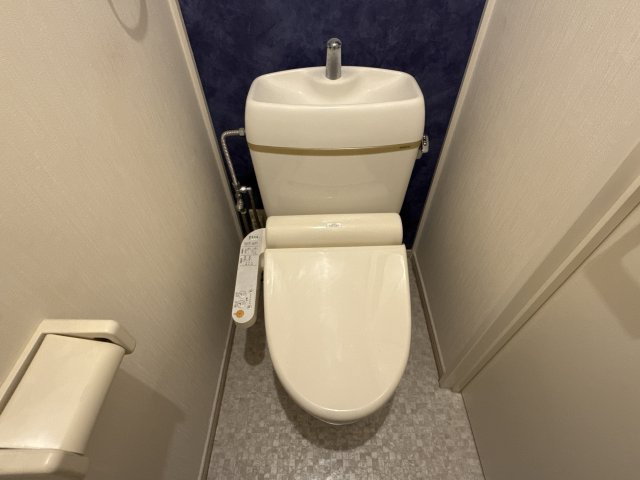 サンハイツC棟のトイレ