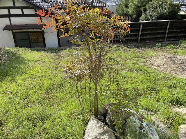 【庭】 | 中古戸建　川俣町字宮町