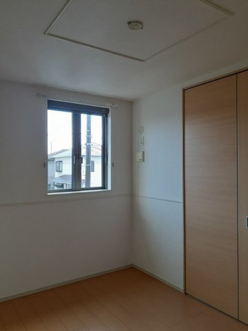 プラシードのその他
