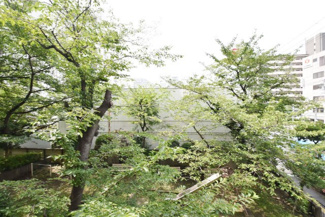 【展望】 | バルコニーからの景色です～即日のご見学可能～　お問合せはお気軽にどうぞ。