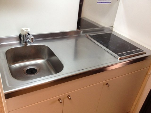 レオネクストフラッツリリーのキッチン