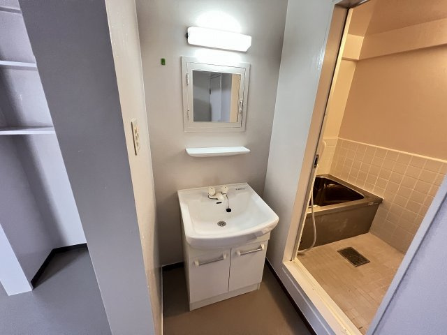 相互マンションの洗面所