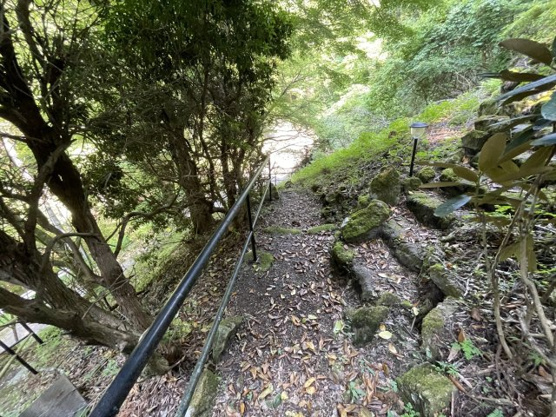 【庭】 | 東急天城高原別荘地　戸建