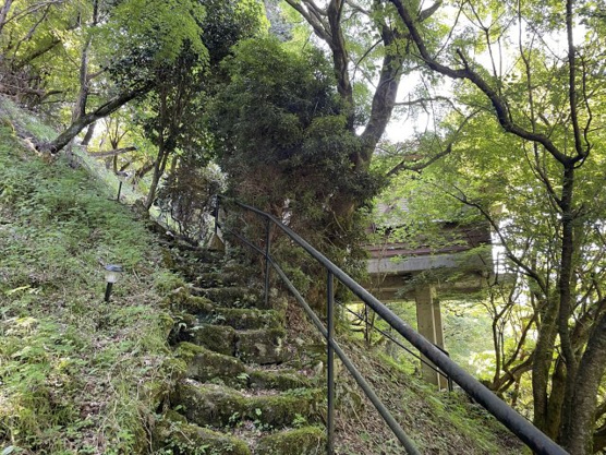 【その他】 | 東急天城高原別荘地　戸建
