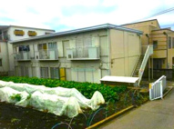 サンライブ海老名の画像