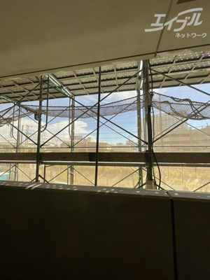 【展望】 | スプランディッドVIII