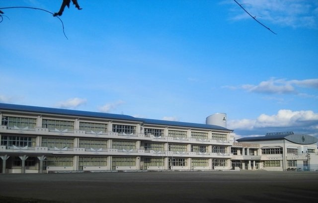 ジャパン・ビレッジイーストの周辺|若葉小学校まで550m