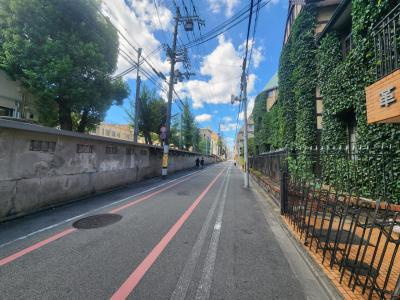 緑の館アネックスの周辺|前面道路