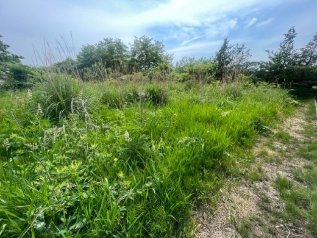 滝沢市鵜飼　売地