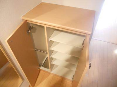 プレサンス京都四条堀川の収納|シューズＢＯＸ