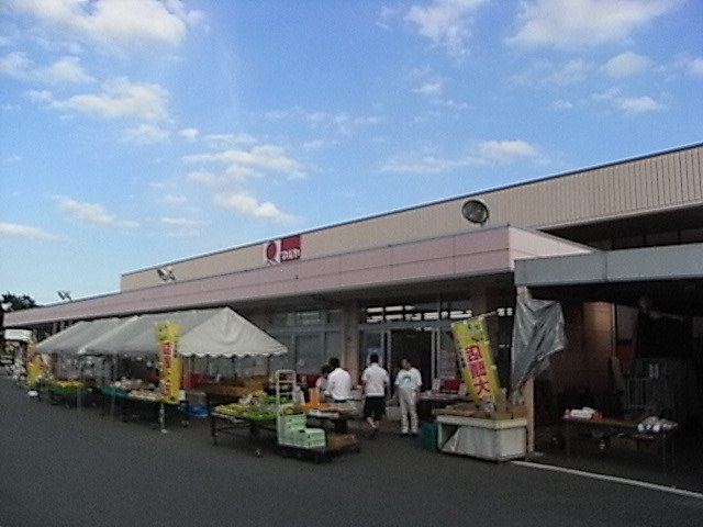 レオネクスト沼南8の周辺