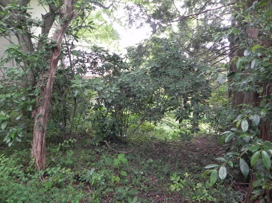 【外観】 | 大室高原別荘地 古家付売地