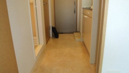 プライマル西船橋の居間・リビング|キッチン周りです