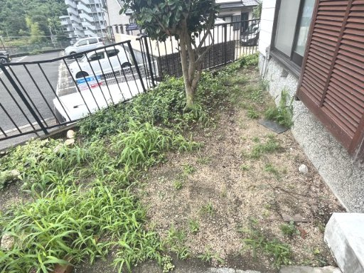 【庭】 | 花山台戸建て | 花山台戸建て(Good Home)