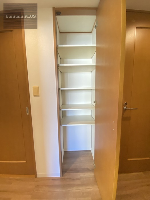 セントラルパレス大今里ステーションアヴェニューの収納