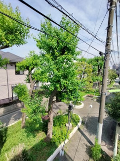 【展望】