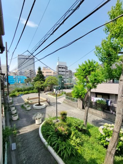 【展望】