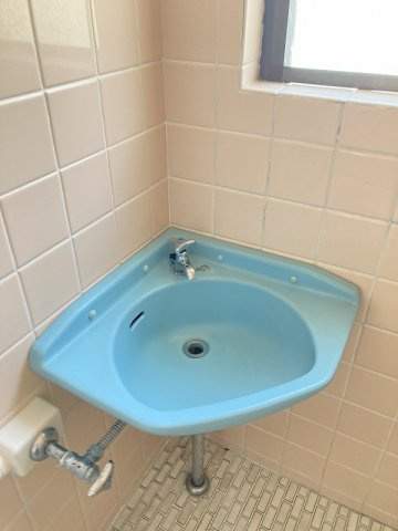 コーポラスシルバーの洗面所