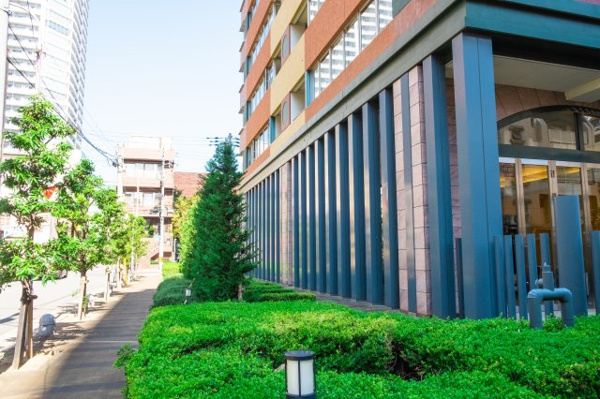 【周辺】 | 【周辺】マンション周辺の歩道もきれいに整備・管理されています！気持ちの良い並木道！
