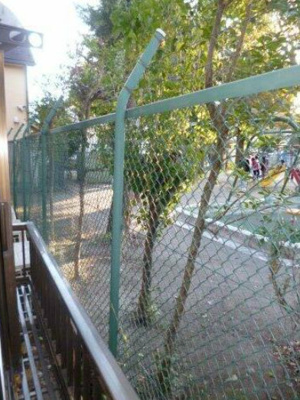 【展望】 | ハイム水越