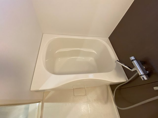 アコーデリア元禄の浴室