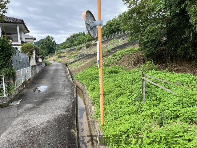 堀江町のおトチ　堀江町売土地の前面道路含む現地写真|前面道路含む現地写真です