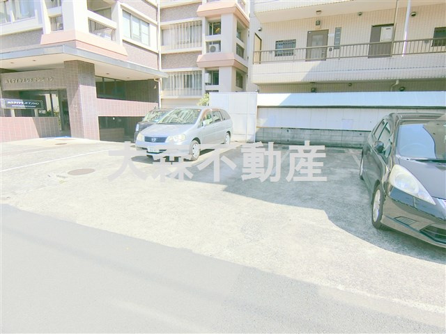 山王ダイヤモンドマンションの駐車場