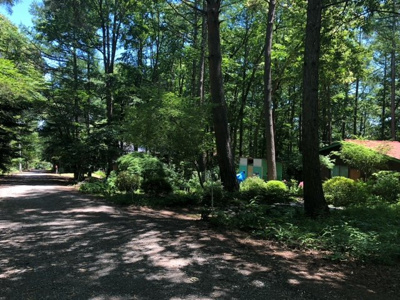 【前面道路含む現地写真】 | 佐久高原美笹別荘地Ｂ－３８