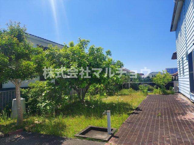 サニービーチ戸建ての庭|お庭です