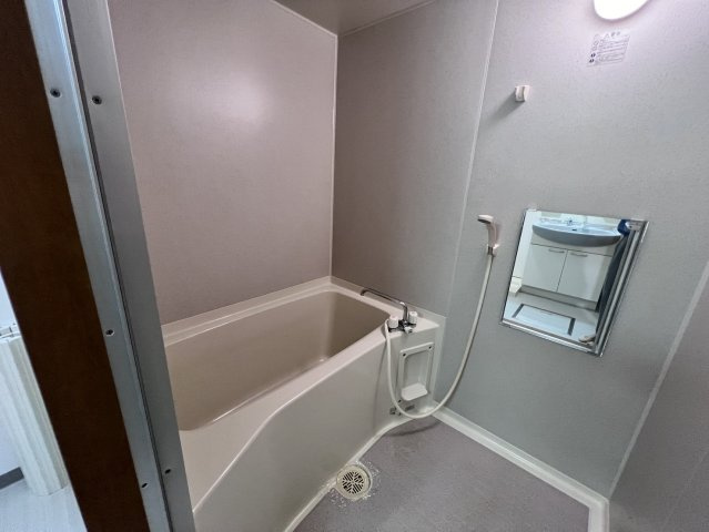 ハイリスベーネ池下の浴室|ハイリスベーネ池下
※反転タイプ