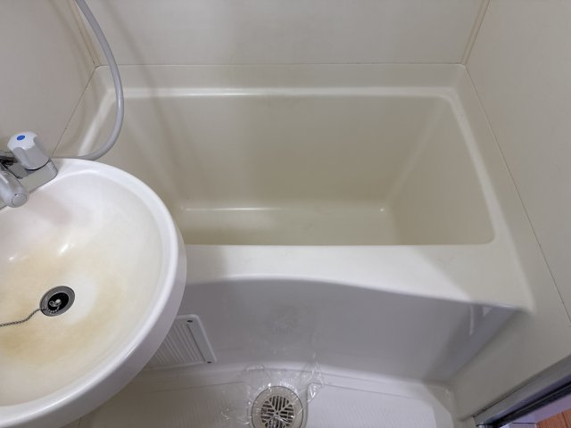 プチ・タウンの浴室