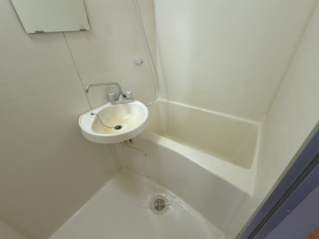 プチ・タウンの浴室