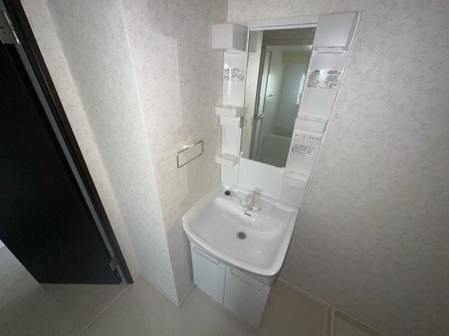 マンション外堀川の洗面所
