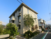 Hale Walea Ⅱの画像