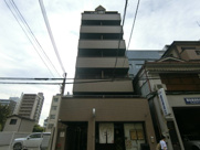 プリムローズの画像