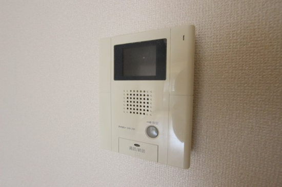 ピエナのセキュリティ