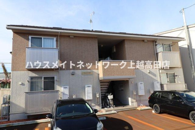 セレーノ リリー