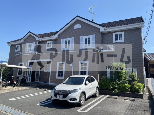 ライトパープル