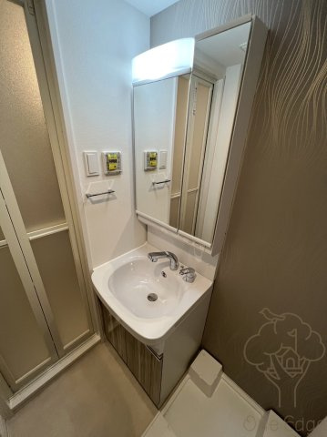 S-RESIDENCE福島玉川Unoの洗面所